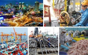 Bức tranh tình hình kinh tế - xã hội tháng 7 và 7 tháng năm 2022