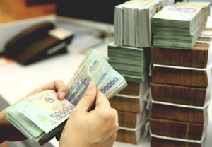 BVSC: VND tiếp tục giữ ổn định trong thời gian tới