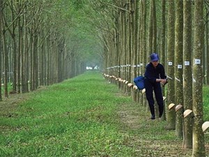 Phân tích cổ phiếu đáng quan tâm ngày 10/8