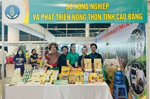 Khơi dậy tiềm năng phát triển sản phẩm OCOP vùng miền núi