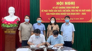 Tuyên Quang: Ký kết chương trình phối hợp sản xuất, tiêu thụ, xuất khẩu nông sản