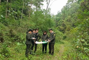 Cao Bằng: Tăng cường công tác phòng cháy, chữa cháy rừng