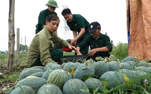 Cựu chiến binh tỉnh Yên Bái đoàn kết thi đua phát triển kinh tế, xóa đói giảm nghèo