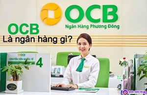 OCB: Ngân hàng đa dạng hóa hoạt động thúc đẩy ROE