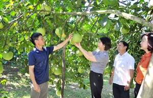 Tuyên Quang: Phát huy vai trò chủ thể của nông dân trong phát triển nông nghiệp và xây dựng nông thôn mới