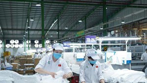 An Tiến Industries (HII): Lập kỷ lục doanh thu nhờ giá hạt nhựa tăng mạnh