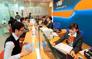 VIB: Thu nhập lãi thuần tăng mạnh đi kèm với dự phòng thấp hỗ trợ tăng trưởng lợi nhuận