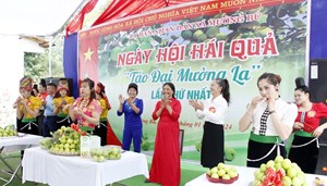 Sơn La: Rộn ràng "Ngày hội hái quả xã Mường Bú" lần thứ nhất năm 2024