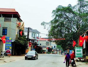 Phú Thọ: Xã Thạch Đồng tích cực xây dựng nông thôn mới nâng cao