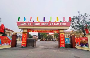 Vĩnh Tường (Vĩnh Phúc): Xã Tam Phúc tích cực xây dựng nông thôn mới
