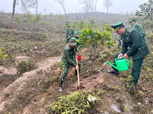 Sơn La: Bộ Chỉ huy Bộ đội Biên phòng tỉnh phát động tết trồng cây