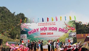 Sơn La: Nhiều hoạt động hấp dẫn “Ngày hội hoa đào xã Lóng Luông” năm 2024