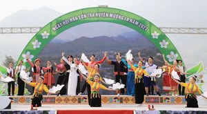 Sơn  La: Tưng bừng khai mạc Ngày hội Hoa sơn tra huyện Mường La năm 2023