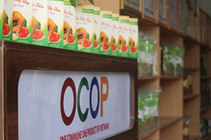 Sơn La: Huyện Mộc Châu chú trọng phát triển sản phẩm OCOP