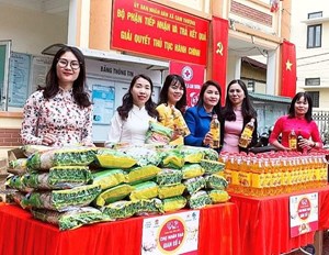 Hà Nội: Hội Nông dân xã Cam Thượng tích cực góp phần xây dựng Nông thôn mới