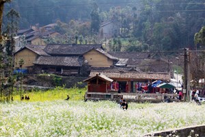 Hà Giang: Làng văn hóa du lịch Lũng Cẩm, điểm đến hấp dẫn của Cao nguyên đá Đồng Văn