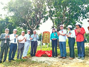 Huyện Mộc Châu tổ chức Lễ công bố Cây di sản Việt Nam cho quần thể 57 cây chè Shan tuyết cổ thụ