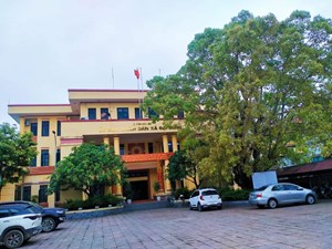 Hà Nội: Xã Đại Đồng huyện Thạch Thất hoàn thành tiêu chí xây dựng xã Nông thôn mới kiểu mẫu