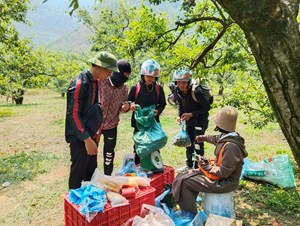 Huyện Mộc Châu tổ chức Lễ công bố quyết định công nhận Khu du lịch quốc gia và Ngày hội hái quả lần thứ VIII