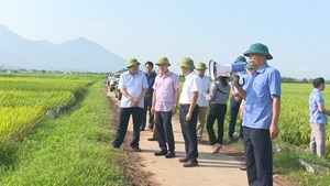 Phú Thọ: Xã Đồng Trung tổ chức hội nghị đánh giá mô hình lúa chất lượng cao ST25