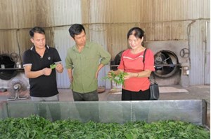 Hòa Bình: Huyện Đà Bắc xây dựng và phát triển các sản phẩm OCOP để nâng giá trị nông sản địa phương