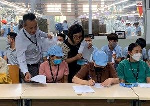 Hoà Bình: chủ động xây dựng quan hệ lao động hài hoà vì sự phát triển bền vững