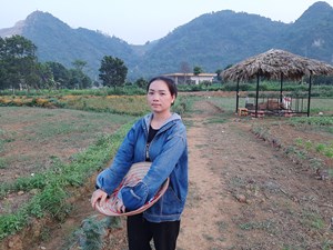 Nông dân huyện Lương Sơn mong muốn thúc đẩy kinh tế hộ gia đình, gắn sản xuất nông nghiệp với phát triển du lịch