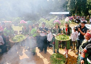 Kết nối sản phẩm chè shan tuyết đến với những thị trường khó tính