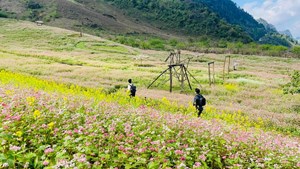 Sơn La: Huyện Vân Hồ tập trung phát triển kinh tế xã hội bền vững và toàn diện