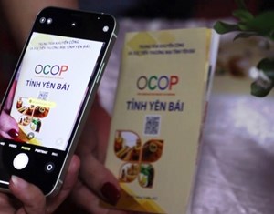 Những bước đột phá phát triển sản phẩm OCOP của tỉnh Yên Bái