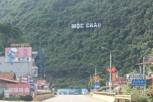 Sơn La: Huyện Mộc Châu đạt nhiều thành tựu trong phát triển kinh tế - xã hội 6 tháng đầu năm 2023