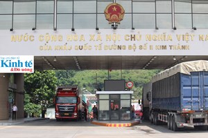 Lào Cai: Khôi phục hoạt động xuất, nhập khẩu hàng hóa giao thương biên giới thông thoáng và khởi sắc