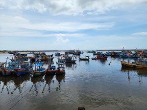 Bộ đội Biên phòng tỉnh Bà Rịa – Vũng Tàu nỗ lực thực hiện nhiệm vụ được giao