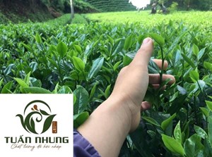 Xu hướng khởi nghiệp ngành nông nghiệp trong giới trẻ