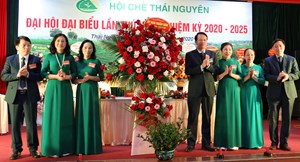 Thái Nguyên: Hội chè Thái Nguyên sẵn sàng tổ chức Hội nghị giữa nhiệm kỳ và liên kết tiêu thụ chè năm 2023