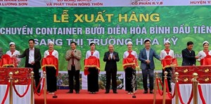 Hòa Bình: Xuất khẩu lô bưởi Diễn đầu tiên sang thị trường Hoa Kỳ