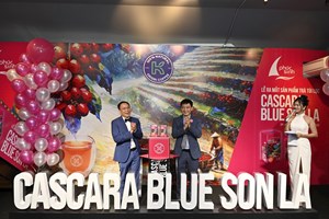 Phúc Sinh Group: Chính thức ra mắt sản phẩm trà túi lọc Cascara Blue Sơn La