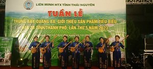 Thái Nguyên: Khai mạc Hội nghị trao đổi kinh nghiệm về phát triển kinh tế tập thể, HTX vùng đồng bào dân tộc thiểu số miền núi 