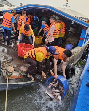 Thả cá tái tạo nguồn lợi thủy sản nhân dịp kỷ niệm Ngày truyền thống Ngành Thủy sản Việt Nam