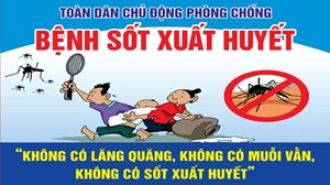 Cần Thơ: Tăng cường, chủ động phòng, chống dịch bệnh sốt xuất huyết thời điểm cuối năm