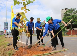 Long An: Phấn đấu trồng 6.000 cây trong khu vực đô thị năm 2023