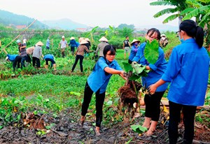 Kiên Giang: Công tác tuyên truyền về nội dung bảo vệ môi trường đạt nhiều kết quả tích cực