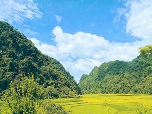 Quê mẹ, miền ký ức