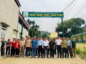 Nâng tầm chè Việt từ gốc: Tập huấn kỹ thuật tại Phong Hải mở lối phát triển bền vững