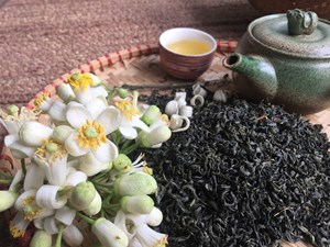 Trà ướp hương hoa bưởi - Tinh hoa đất 