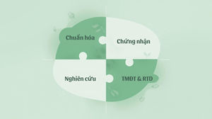 Trà thảo mộc Việt – Hộ chiếu xanh trên bản đồ thị trường quốc tế