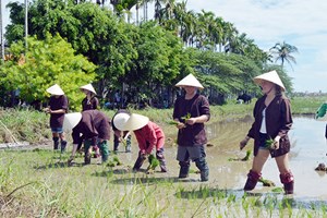 Bản tin nông sản 21/6: Bán nông sản kết hợp du lịch tại vườn