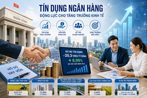 Hộ kinh doanh được hưởng gì từ các chương trình tín dụng ưu đãi mới?
