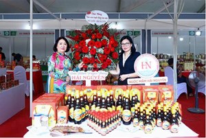 Khai mạc Hội chợ triển lãm hàng công nghiệp nông thôn năm 2025