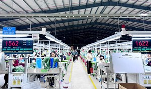 Hà Tĩnh: Hai tháng đầu năm ghi nhận 425 doanh nghiệp thành lập mới